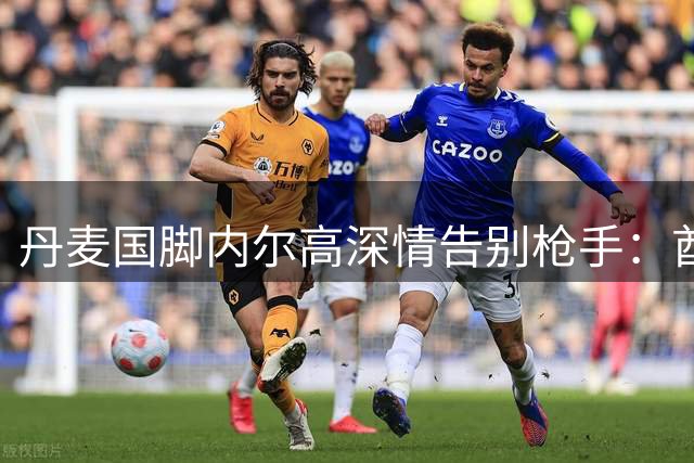 丹麦国脚内尔高深情告别枪手：酋长球场永驻我心